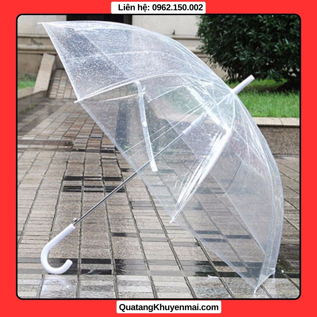 du-can-thang-trong-suot 2