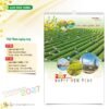 Lịch Treo Tường 2027 HT Mẫu HT39 (40 x 60cm) Quà Tặng Khuyến Mại Kích Cầu Cuối Năm in logo doanh nghiệp quà tặng Tết tại Quà Tặng Khuyến Mại KM