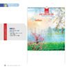 Lịch Treo Tường Lò Xo 2027 NB Mẫu NB254 (40 x 60 cm) Quà Tặng Khuyến Mại Kích Cầu Cuối Năm in logo doanh nghiệp quà tặng Tết tại Quà Tặng Khuyến Mại KM
